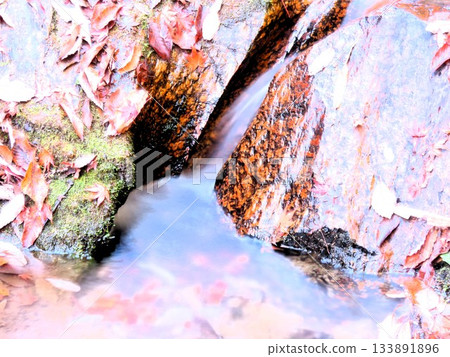Downstream of Ishibutai, clear stream & gorge, nameless small waterfall: Osaka Prefectural Forest Downstream of Ishibutai, clear stream & gorge, nameless small waterfall: Osaka Prefectural Forest 133891896