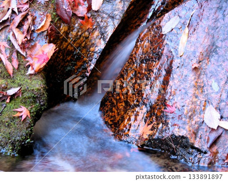 Downstream of Ishibutai, clear stream & gorge, nameless small waterfall: Osaka Prefectural Forest 133891897