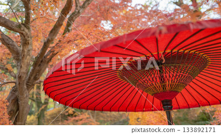 Red Japanese umbrella, end of autumn, Akizuki Castle ruins, collaboration with autumn leaves Red Japanese umbrella, end of autumn, Akizuki Castle ruins, collaboration with autumn leaves 133892171