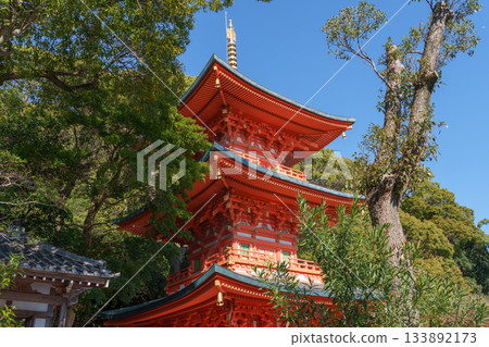 神戶/須磨地/三重塔 神戶/須磨地/三重塔 133892173