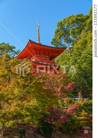 Kobe in autumn, Suma-dera Temple, three-storied pagoda and autumn leaves Kobe in autumn, Suma-dera Temple, three-storied pagoda and autumn leaves 133892177