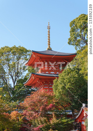 秋天的神戶、須磨寺、三層寶塔和秋葉 133892189