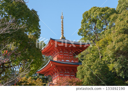秋天的神戶、須磨寺、三層寶塔和秋葉 秋天的神戶、須磨寺、三層寶塔和秋葉 133892190