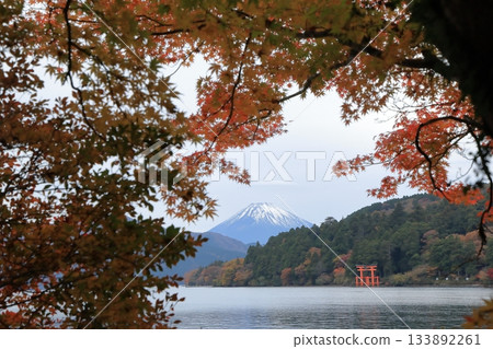 從蘆之湖畔眺望秋葉中的富士山，神奈川縣箱根市 133892261