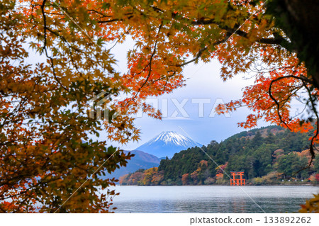 從蘆之湖畔眺望秋葉中的富士山,神奈川縣箱根市 從蘆之湖畔眺望秋葉中的富士山,神奈川縣箱根市 133892262