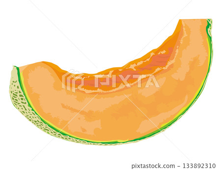 瓜的例證 瓜的例證 133892310