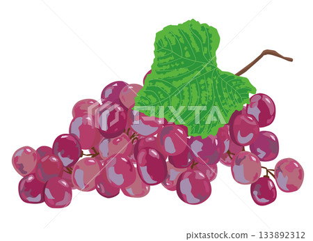 葡萄的例證 133892312