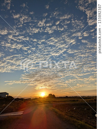 秋日清晨的陽光和綿綿的雲朵 秋日清晨的陽光和綿綿的雲朵 133892387
