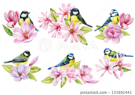 Watercolor spring birds with pink magnolia flowers and green leaves delicate floral songbird illustrations set 133892441