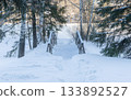 Winter forest scenery with sun shining trough trees. Wooden little bridge. Evening winter forest. High quality photo 133892527