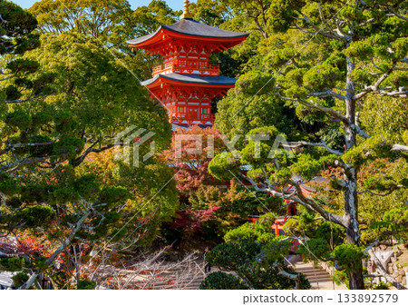 Autumn in Kobe, Suma-dera Temple's three-story pagoda Autumn in Kobe, Suma-dera Temple's three-story pagoda 133892579