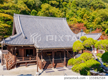 Autumn in Kobe, Suma-dera Temple, Main Hall Autumn in Kobe, Suma-dera Temple, Main Hall 133892584