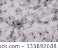 Soft Light Grey Abstract Marble Texture with Organic Branching Lines for Modern Elegant Design Projects 133892688