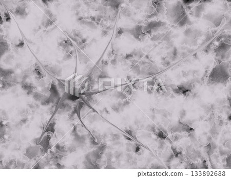 Soft Light Grey Abstract Marble Texture with Organic Branching Lines for Modern Elegant Design Projects 133892688