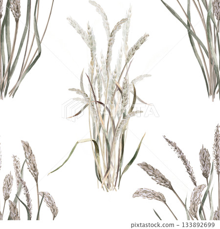 A seamless pattern with bunches of long steppe grasses. Watercolor illustration for packaging design, flower shop decor, eco-projects, travel agency websites, and corporate identity. A seamless pattern with bunches of long steppe grasses. Watercolor illustration for packaging design, flower shop decor, eco-projects, travel agency websites, and corporate identity. 133892699
