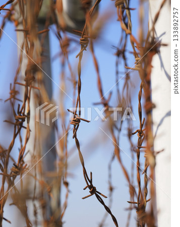Barbed wire Barbed wire 133892757