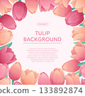 Colorful background with delicate tulips. The concept of a holiday, spring, women's day, Valentine's day. Vector illustration for the design of posters, flyers, postcards and invitations 133892874