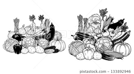 Abundant collection of fresh garden vegetables, featuring pumpkins, cabbages, corn, carrots, and other healthy produce 133892946