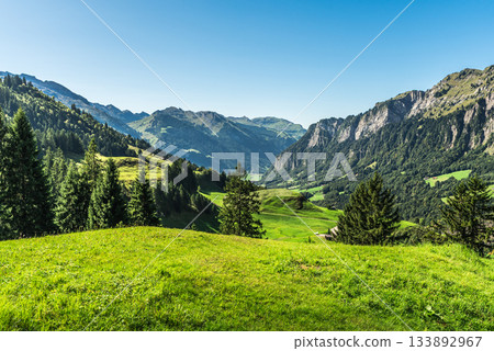 Scenic mountain landscape in the Swiss Alps, Muotathal, Canton of Schwyz, Switzerland 133892967