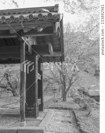 Monochrome, late autumn, Akizuki Castle ruins, Kuromon Gate and autumn leaves 133892981