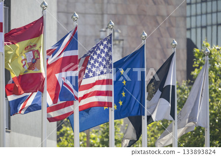 International flags flying representing global relations and unity International flags flying representing global relations and unity 133893824