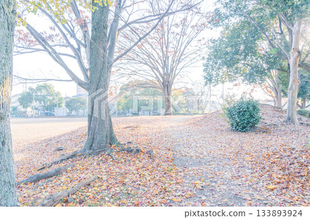 初冬公園 初冬公園 133893924
