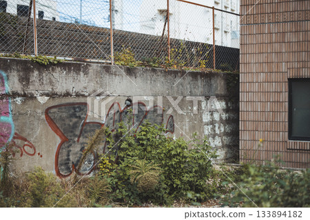 Vacant lot with graffiti and old concrete wall 133894182