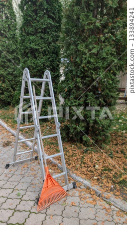 residential backyard setting during late autumn with cleaning tools and scattered leaves everywhere 133894241