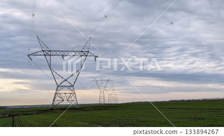 distant transmission towers establish striking perspective lines over lush plain and cloudy sky distant transmission towers establish striking perspective lines over lush plain and cloudy sky 133894267