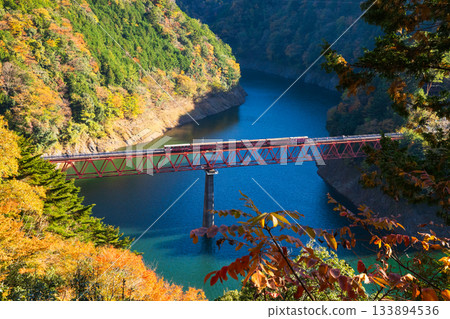 Autumnal leaves Oi Oi lake top station 133894536