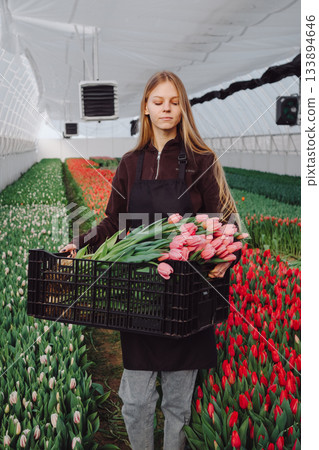 Enthusiastic young woman displays fresh tulips in greenhouse setting, Cheerful woman owner showcases bright tulips for promotional images amid lush greenhouse environment Enthusiastic young woman displays fresh tulips in greenhouse setting, Cheerful woman owner showcases bright tulips for promotional images amid lush greenhouse environment 133894646