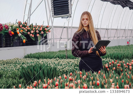 Young horticulturist inspecting flower beds, Caucasian florist carefully checks tulip health, Young flower specialist assesses condition and arrangement of blooming tulips meticulously 133894673