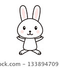 Rabbit character illustration 133894709