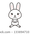 Rabbit character illustration 133894710