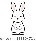 Rabbit character illustration 133894711