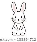 Rabbit character illustration 133894712