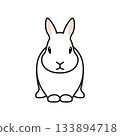 Rabbit facing front 133894718