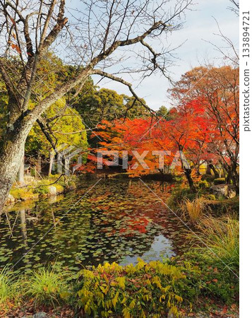 京都大野神社 京都大野神社 133894721