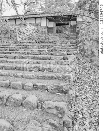 Monochrome, late autumn, Akizuki Castle ruins, stone steps leading to Nagayamon Gate 133894746