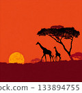 Giraffe silhouette and sunset savanna 133894755