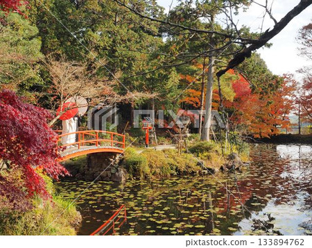 京都大野神社 京都大野神社 133894762