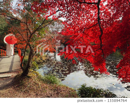 Kyoto Onohara Shrine 133894764