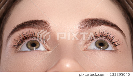 Close-up Macro of Beautiful Female Eye with Perfect Shape Eyebrows. Clean skin, Fashion Naturel Make-Up. Good Vision Close-up Macro of Beautiful Female Eye with Perfect Shape Eyebrows. Clean skin, Fashion Naturel Make-Up. Good Vision 133895040