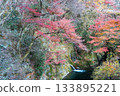 Autumn leaves in Hanaine Canyon 133895221