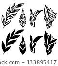 Vector monochrome set of leaf clip arts. Collection of tracery black silhouette of elegant stylized foliage 133895417