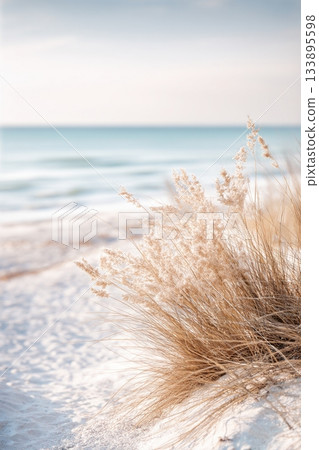 view of a coastal grass and dunes beach on a bright clear day view of a coastal grass and dunes beach on a bright clear day 133895598