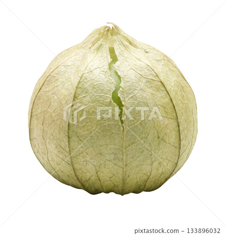 Fresh raw green tomatillo vegetable with husk. An organic physalis plant for healthy food and Mexican cuisine 133896032