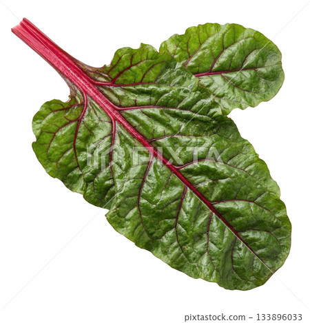 Single fresh green chard leaf with red stem. Healthy organic vegetable full of vibrant, natural nutrition 133896033