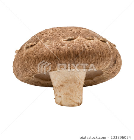 Fresh brown cremini mushroom, healthy organic food ingredient for cooking. single natural vegetable Fresh brown cremini mushroom, healthy organic food ingredient for cooking. single natural vegetable 133896054