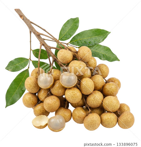 Fresh and sweet longan fruit cluster with green leaf. This ripe tropical fruit promotes healthy and natural feeling 133896075